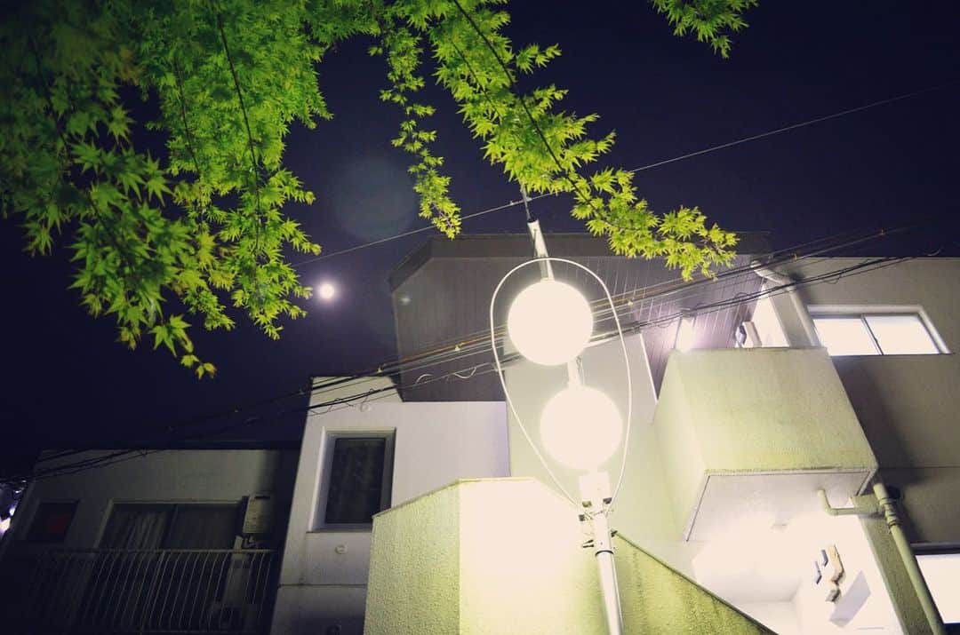 マシュー・チョジックさんのインスタグラム写真 - (マシュー・チョジックInstagram)「🌝👟 #散歩中 #東京 #Tokyo #onawalk #Japan #moon」4月14日 21時35分 - matthew_chozick