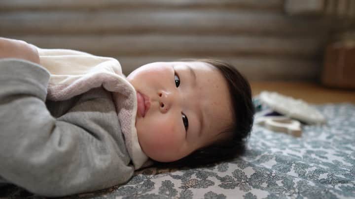 のインスタグラム：「テンちゃんと暮らして4ヶ月が過ぎ。 本当は4月から復帰し、バリバリ出張や打ち合わせ、講演で外出る予定でしたが、コロナウイルスの関係でずっと自宅。 . 早く収束して欲しいけど、コロナのおかげでテンちゃんと家族とずっと毎日一緒なの、実はめちゃ幸せ✨ . #赤ちゃん #赤ちゃんのいる暮らし #にゃんすたぐらむ #にゃんこ #おもちゃ #あかちゃんのいる生活 #あかちゃん #赤ちゃん写真 #赤ちゃんコーデ #赤ちゃんとの暮らし #赤ちゃんがいる生活 #赤ちゃん撮影 #赤ちゃんグッズ #赤ちゃんとお出かけ #女の子赤ちゃん #猫と赤ちゃん #娘ちゃん #こんにちは赤ちゃん #赤ちゃんがいる暮らし #可愛い赤ちゃん #赤ちゃんファッション #赤ちゃんとの生活 #あかちゃんメモリー」