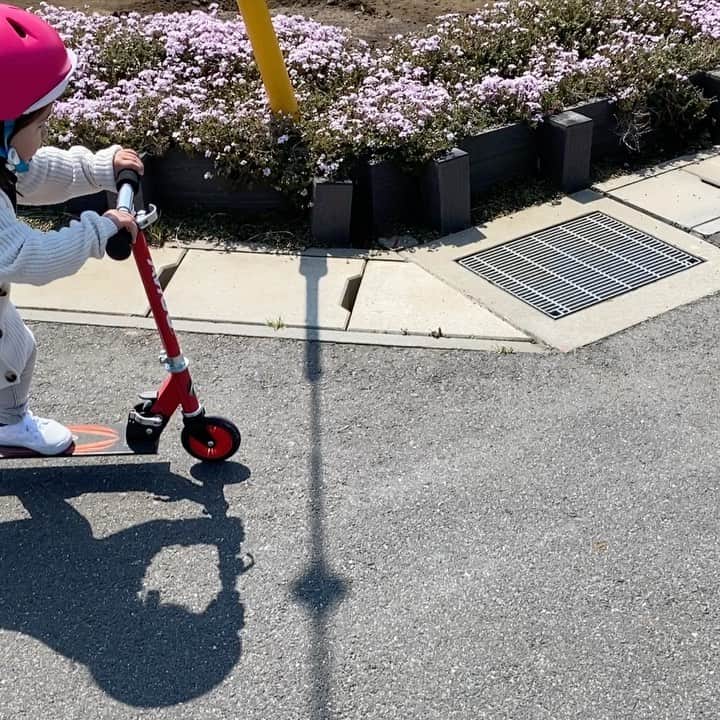 秋本真吾のインスタグラム：「貴重な外時間。﻿ ﻿ 密集を避けできるだけ短時間で終わらせる。﻿ ﻿ 自転車﻿ ストライダー﻿ キックボード﻿ ﻿ キックボードは左右それぞれ。﻿ 着地している時間を短く、支持している足でしっかり支える。﻿ ﻿ ﻿ #娘﻿ #3歳0ヶ月﻿ #キックボード」