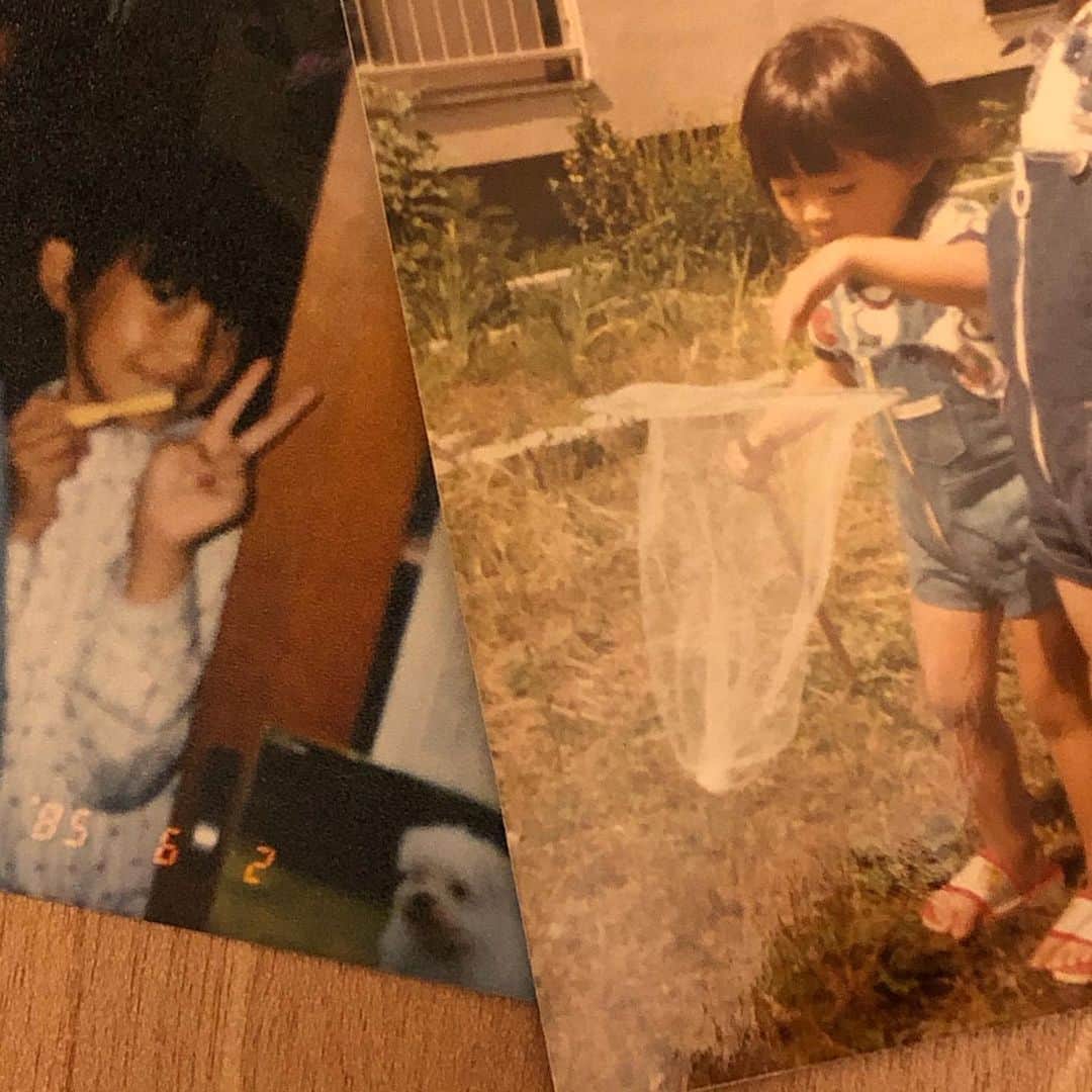 田中美里のインスタグラム：「あんまり出した事のない幼少期。  #家にいても #ジッとしていられなくて #撮影できない分 #隅から隅まで掃除してる #写真の整理 #想い出写真 #小さい頃は虫が平気だったのに #今は苦手  #何才だ ？ #左は8歳かな　？」