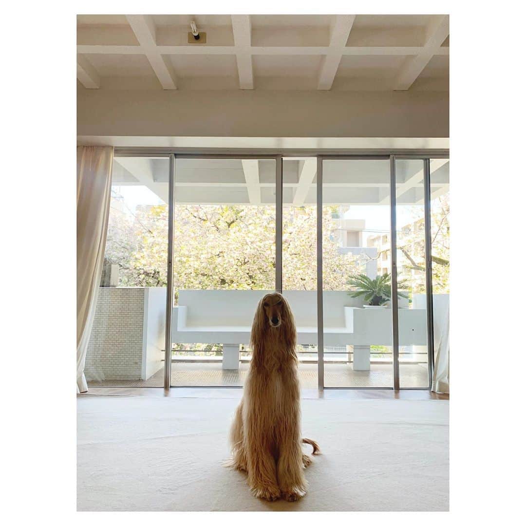 大田由香梨のグルメインスタ