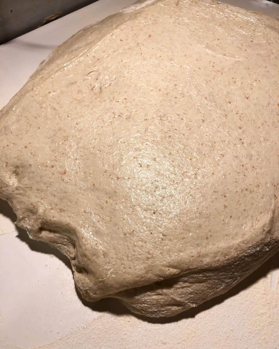 CHIPPRUSONのインスタグラム：「冷蔵オートリーズ7日間、発酵熟成3日間のパン生地は意外にもしっかりと。食パン生地のオートリーズは、その段階から糖類や乳製品を加え、腐敗しないように乳酸菌や微量のヨーグルトを足した状態でゆっくり化学変化させていくような計算で冷蔵庫で一週間放置。温度は3度設定で実温5度にいかないぐらい。この時に雑菌が繁殖しないように衛生面は慎重に。。オートリーズで気をつけているのは粉をサラサラにしておき（奮ってた時期もあったけど最近は配合してからミキサーで攪拌）ムラやダマを作らずにさっと同量の水分と馴染ませること。この工程で滑らかさ、柔らかさなど、全ての食感が決まると考えています。なので、わざわざロットを小分けにしてゴムベラを使って混ぜ合わせています。（大変なんだけど、、😓）今回、フルーツブレッドには贅沢にもロンサカパをたっぷり使いました。ロンサカパはフルーティかつ上品でラム臭くないので、白いちじくとマスカットレーズンの繊細な味を一層引き立ててくれました。ロンサカパ、色々試したけど今回が一番しっくり馴染んでいい感じです。  初めての長期熟成ブレッドセット販売、ご購入いただいた皆さまありがとうございました。まだまだ実験は始まったばかり。パンの宇宙船に乗って、誰も見たことがない新しい世界を旅してみたいっ♩」