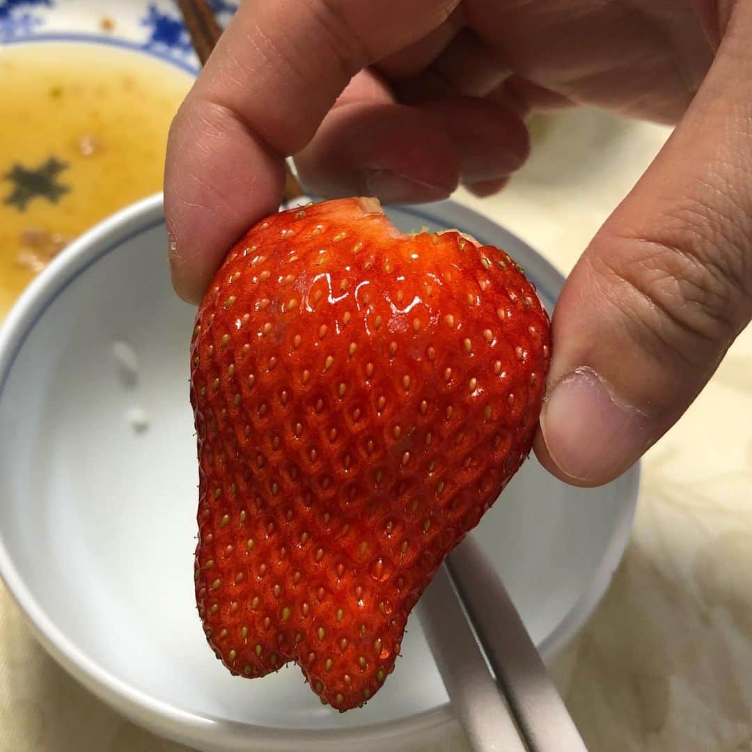 井上裕治のインスタグラム：「頂きモノのイチゴちゃんが、 完全に奥歯🦷🤔🍓 味は最高🤤  #いちご  #awesome  #good  #nice  #love  #smile」