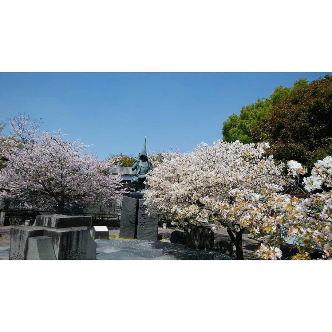 藤嶋栄介さんのインスタグラム写真 - (藤嶋栄介Instagram)「熊本地震から4年。 地元熊本が少しでも早く復興する事を祈っています。 僕らの力は微力ですがこうやって今の熊本を伝え続けること。 復興の現状を知ってもらう事も僕らに出来ることの1つだと思っています。  この写真は少し前、桜が咲いている時にお父さんが送ってくれた写真です。 なかなか熊本に帰れないですが、こうやって熊本城を見ると、少しづつですが、地震後から復興が進んでいると感じます。 しかし、完全な復興にはまだまだ沢山の時間と、支援が必要になると思います。微力でも自分達にできる事をして、4年前より素晴らしい熊本が1日でも早く戻って来るように僕もやれる事をやっていきたいと思います。  #熊本地震 #4年 #復興 #復興に向けて手を繋ごう  #助け合い #熊本城 #加藤清正公  #コロナに負けるな」4月14日 23時35分 - e.fujishima_official