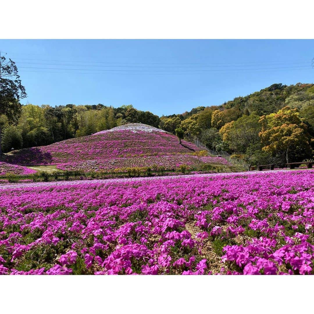 西﨑梨乃のインスタグラム