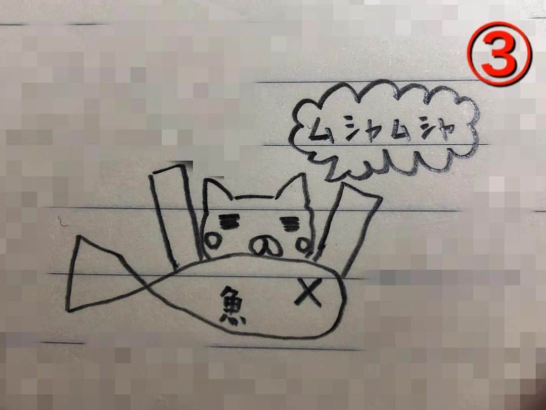 朱里さんのインスタグラム写真 - (朱里Instagram)「さぶろう  #picture #draw #cat #作　#猫　#書いた　#絵」3月22日 8時45分 - syuri_official