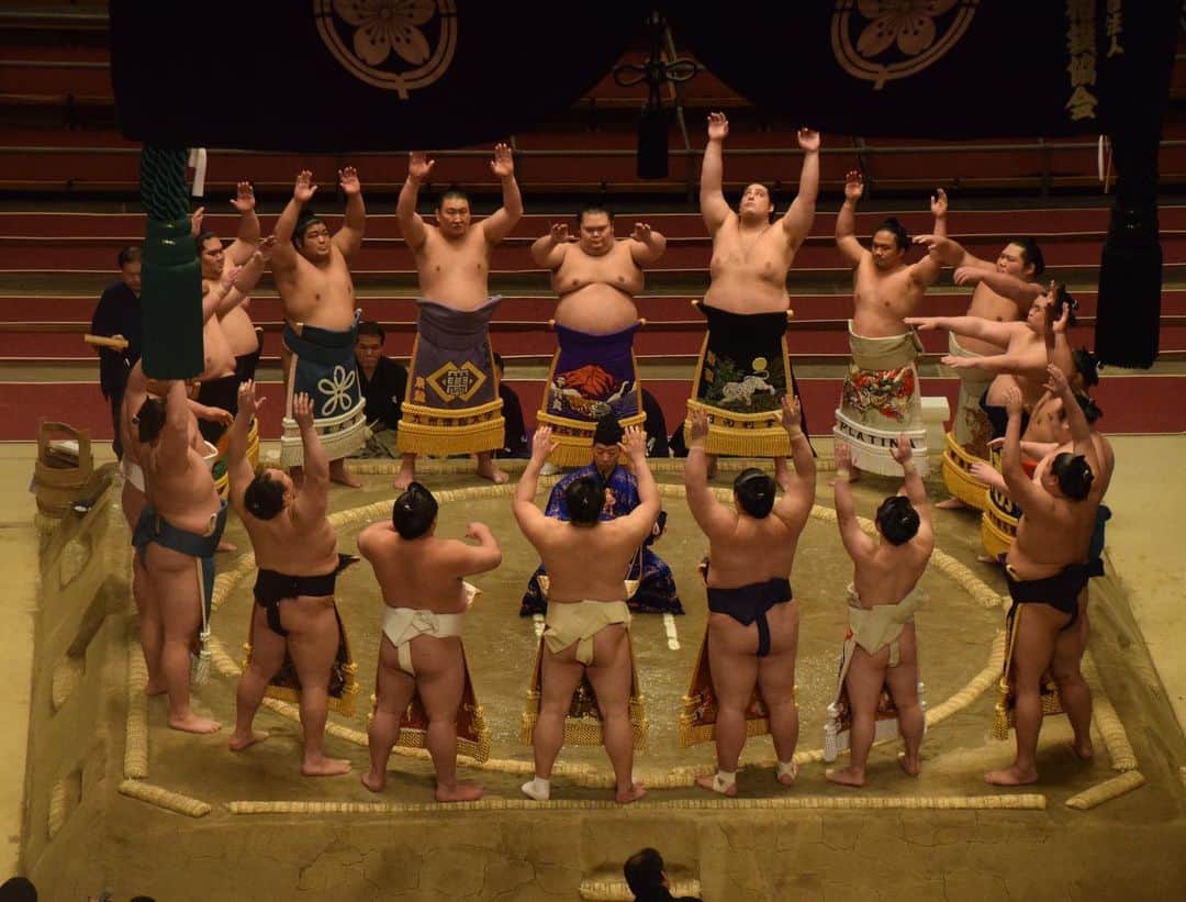 日本相撲協会さんのインスタグラム写真 - (日本相撲協会Instagram)「幕内土俵入り。﻿ 今場所ならではの上からアングルです👀﻿ ﻿  @sumokyokai  #sumo  #相撲  #力士 #お相撲さん #大相撲  #大阪場所  #三月場所 #春場所 #エディオンアリーナ大阪 #大阪府立体育館 #なんば  #３月 #幕内土俵入り #化粧廻し」3月22日 8時48分 - sumokyokai
