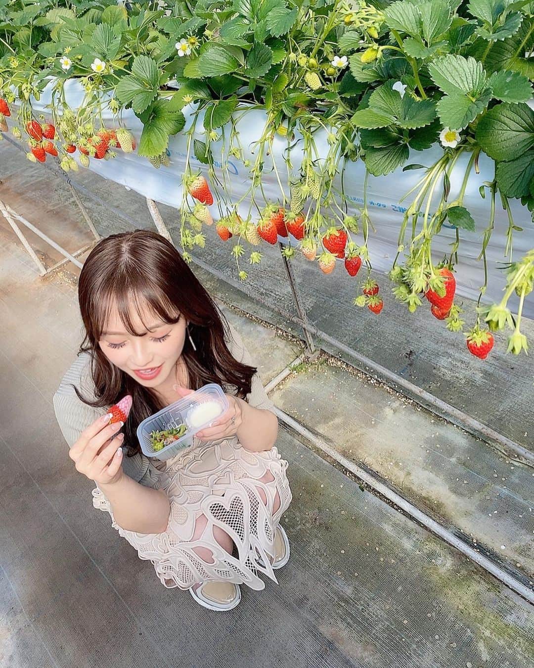 矢田伶華さんのインスタグラム写真 - (矢田伶華Instagram)「. . 三重に帰ってきてます🌸💕 . 昨日はよんこいちでいちご狩り🍓 おいしかった🤤🤤 . . . #三重 #地元 #三重旅行 #帰省 #いちご狩り #多度グリーンファーム」3月22日 0時47分 - reika_308