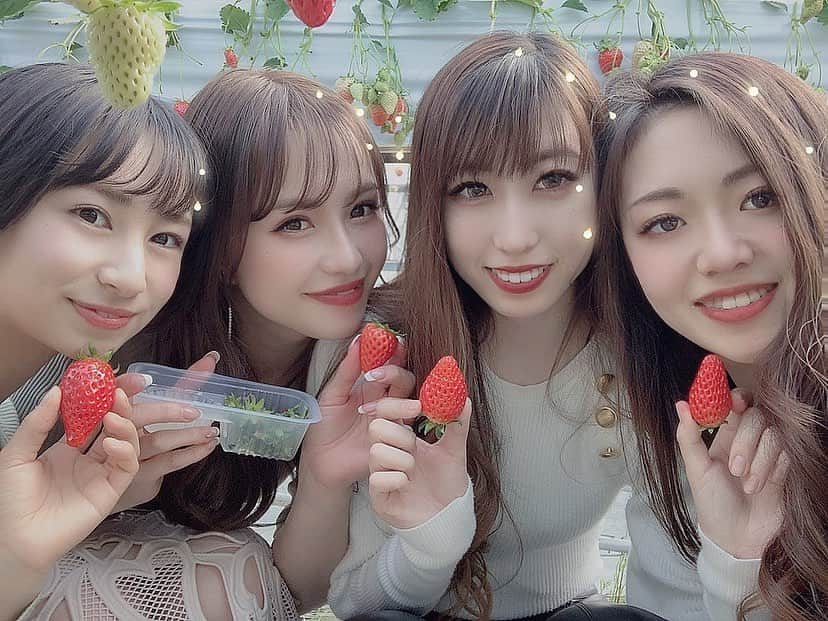 矢田伶華のインスタグラム