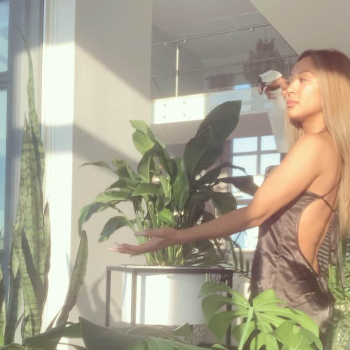 ダニー・リエルのインスタグラム：「Self Quarantine Day 4 - Standing by the window during sunset let’s me get that Vitamin D 😉  Fresh out the shower w/ clean hair & face is money. My plants time to get theirs 🌱 💦  Can’t stress y’all enough to try and stay home for the health of the world 🌎🙏🏾」