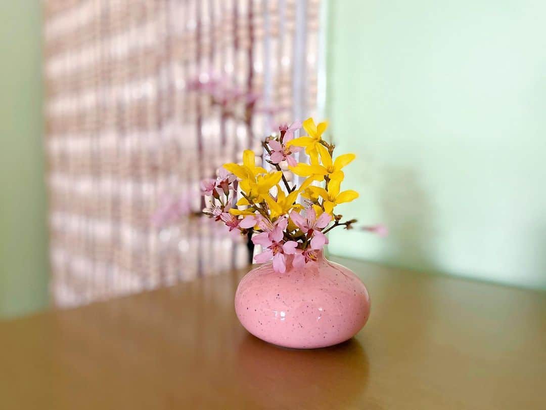 オードリー・キッチングのインスタグラム：「Spring blossoms from my garden.」