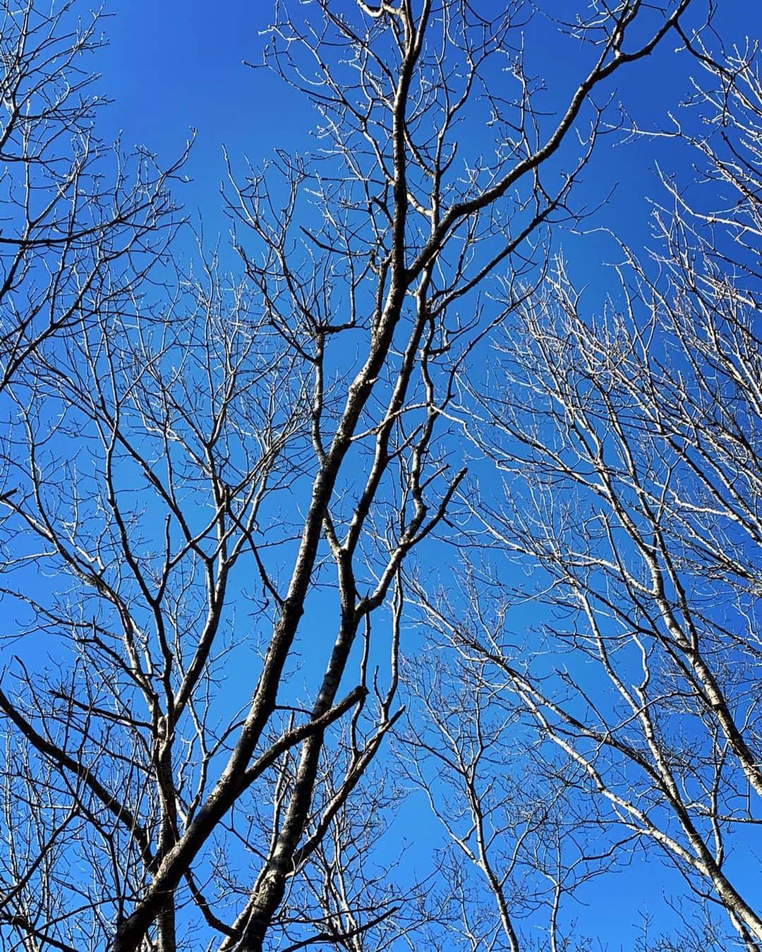 ニーナ・アグダルさんのインスタグラム写真 - (ニーナ・アグダルInstagram)「Above the clouds the sky is always blue 💙」3月22日 3時11分 - ninaagdal