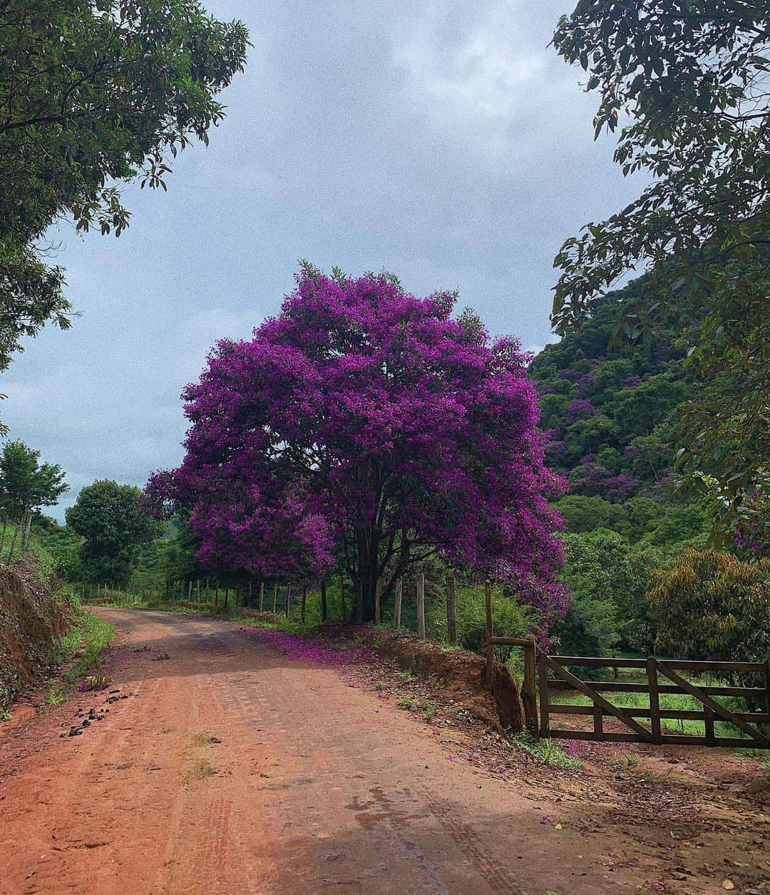 Bruno Gissoniさんのインスタグラム写真 - (Bruno GissoniInstagram)「Vai dar certo .」3月22日 3時17分 - brunogissoni