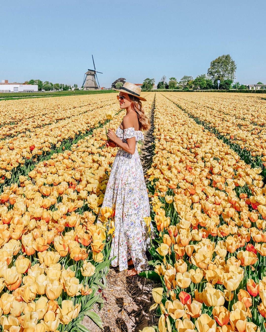 Izkizのインスタグラム：「Missing tulip season in Holland this year for the first time 🌷 #Stayhome now so we can all enjoy it next year!」