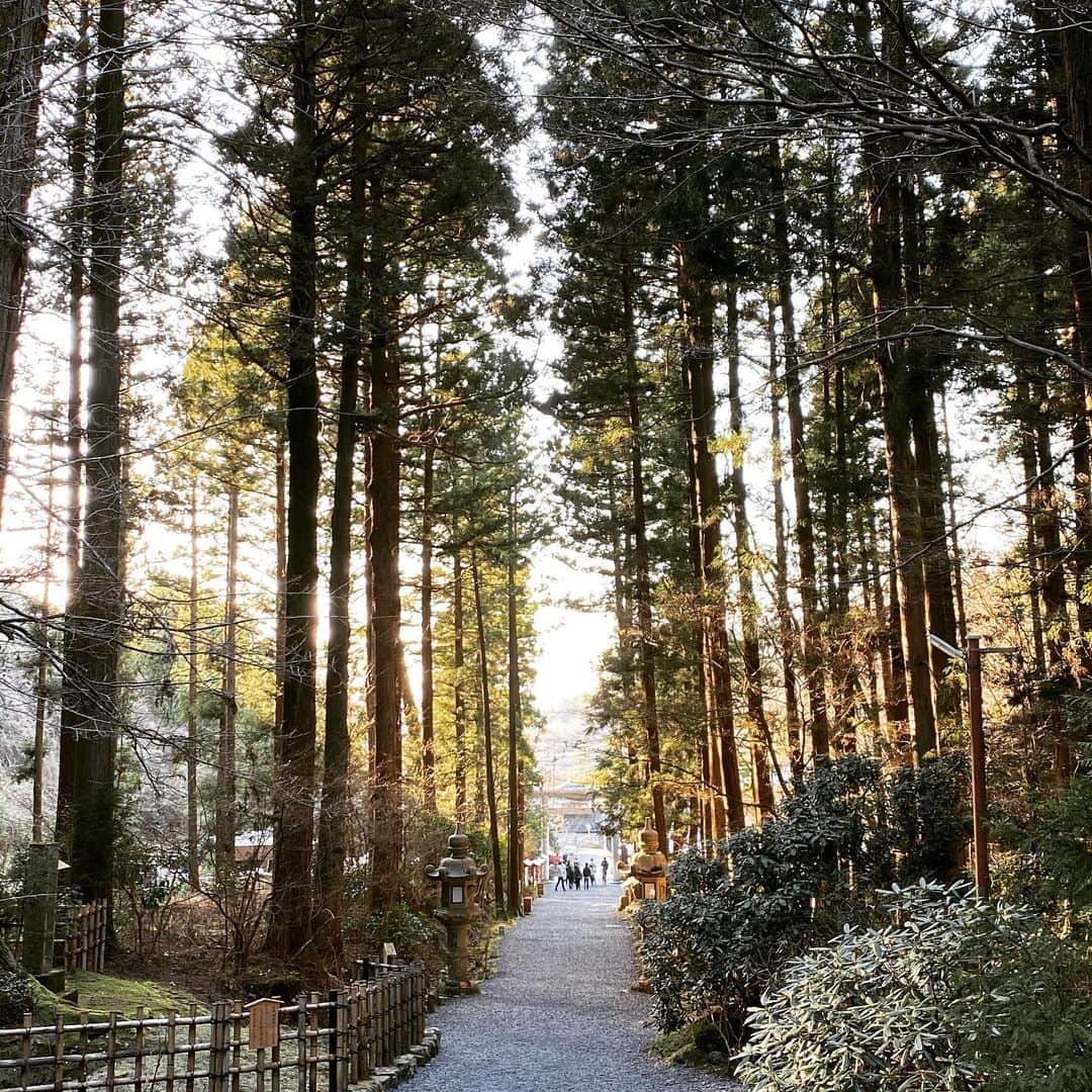 野口克也のグルメインスタ