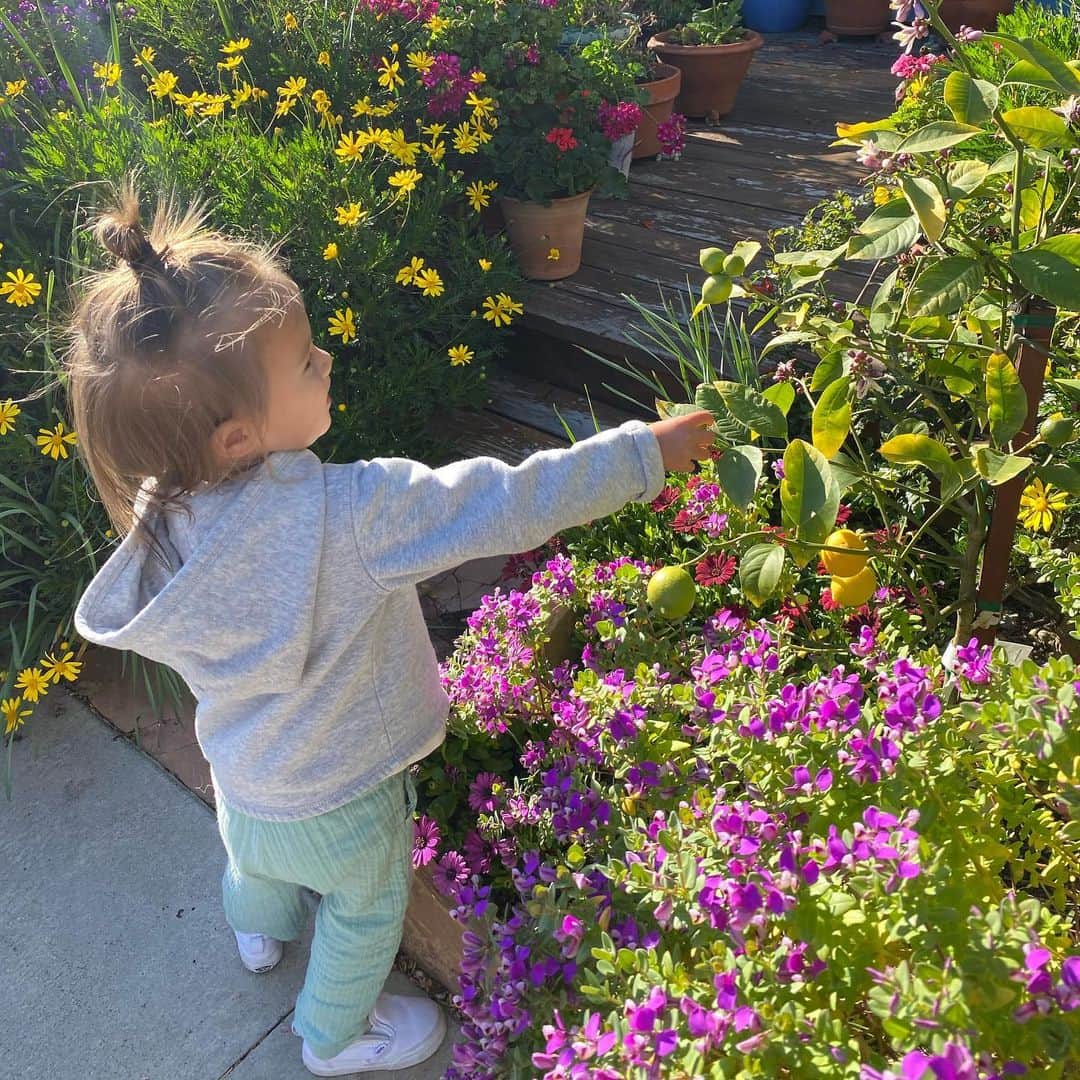 のインスタグラム：「It’s the little thing that makes you happy💚💛🧡❤️」