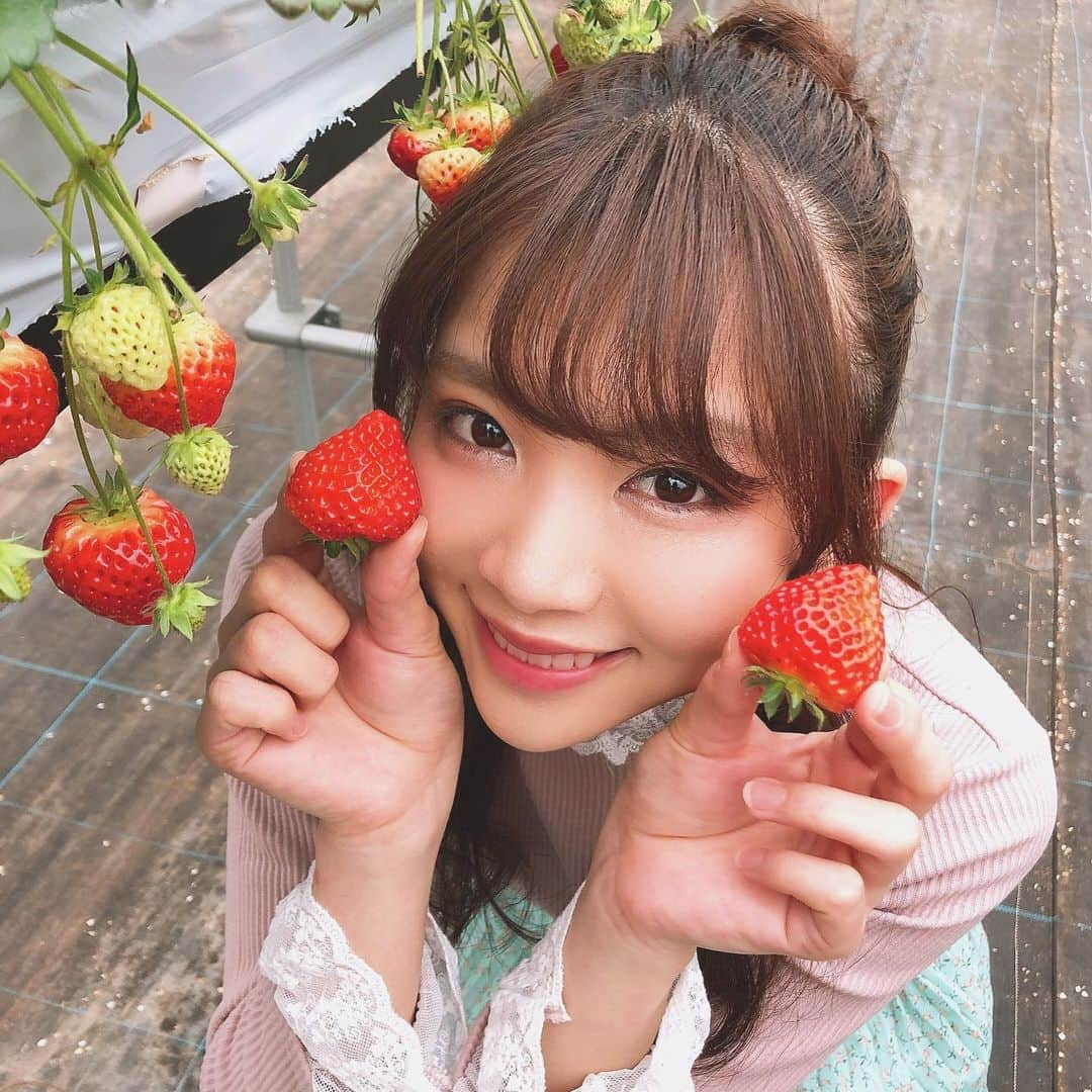 奈良未遥さんのインスタグラム写真 - (奈良未遥Instagram)「🍓 🍓 🍓  2020.March ロケ生写真」3月22日 17時04分 - mihapiyo._.48