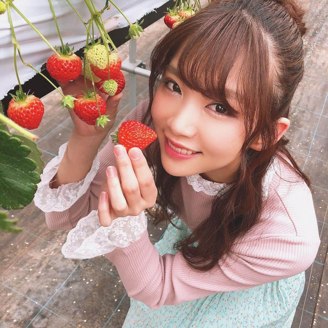 奈良未遥さんのインスタグラム写真 - (奈良未遥Instagram)「🍓 🍓 🍓  2020.March ロケ生写真」3月22日 17時04分 - mihapiyo._.48