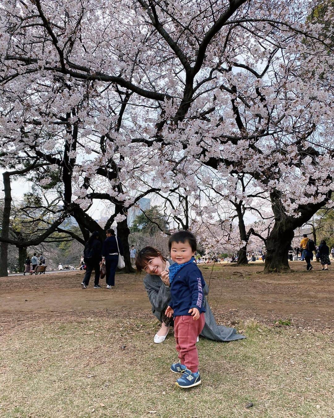 高田あゆみさんのインスタグラム写真 - (高田あゆみInstagram)「4コマ📸 #sakura#cherryblossom#桜#桜満開#春#spring#japan#japan_of_insta」3月22日 17時14分 - ayumitakada1020