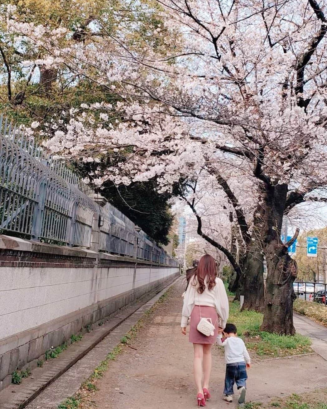 佐倉知里のインスタグラム：「with my nephew ♡ . 家族でイギリス大使館の中にお邪魔させていただき、とっても素敵な建物や桜を拝見しました。貴重な体験...。 中は写真がだめなので塀の外の🌸📷 . ロンドンは家族旅行でも5回は行っていて 私は1年、姉は4.5年住んでいたこともあって 凄く凄く大好きな国🇬🇧💕 中学の修学旅行もロンドンだったなぁ♡ . 人も、街も、雰囲気もぜーんぶ好き！ . . 次は甥っ子も一緒に行けるかな♡ .  photo by my mum. . . . #britishembassy#cherryblossom#🌸 #千鳥ケ淵の桜#桜並木#甥っ子#nephew#パー子 . . . そして私の愛車はミニクーパー🇬🇧♡」