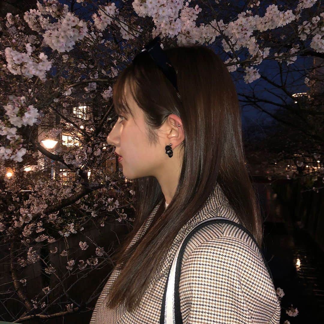 正本レイラさんのインスタグラム写真 - (正本レイラInstagram)「夜桜🌸  #桜　#夜桜　#sakura #tokyo」3月22日 18時20分 - leilaazjp