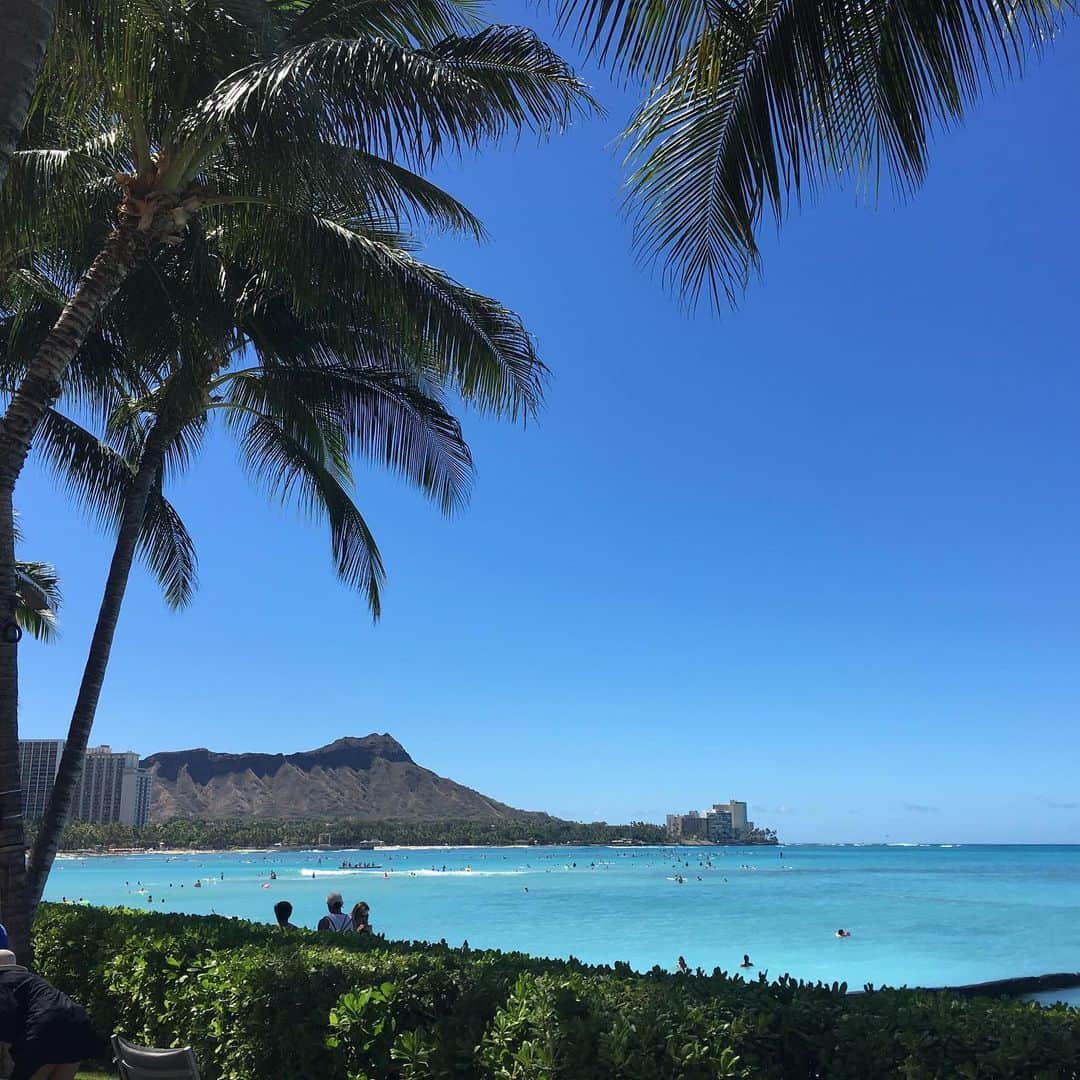 牛窪万里子さんのインスタグラム写真 - (牛窪万里子Instagram)「My Sweet Memories  自然の美しさと癒しを改めて感じる今  懐かしいハワイの思い出  来年はまた行けるかな  #ハワイ #ホノルル  #また行けるかな  #美しい風景 #自然 #海 #花  #癒し  #海外旅行 #自然の美しさに感動  #hawaii」3月22日 9時50分 - mariko_ushikubo