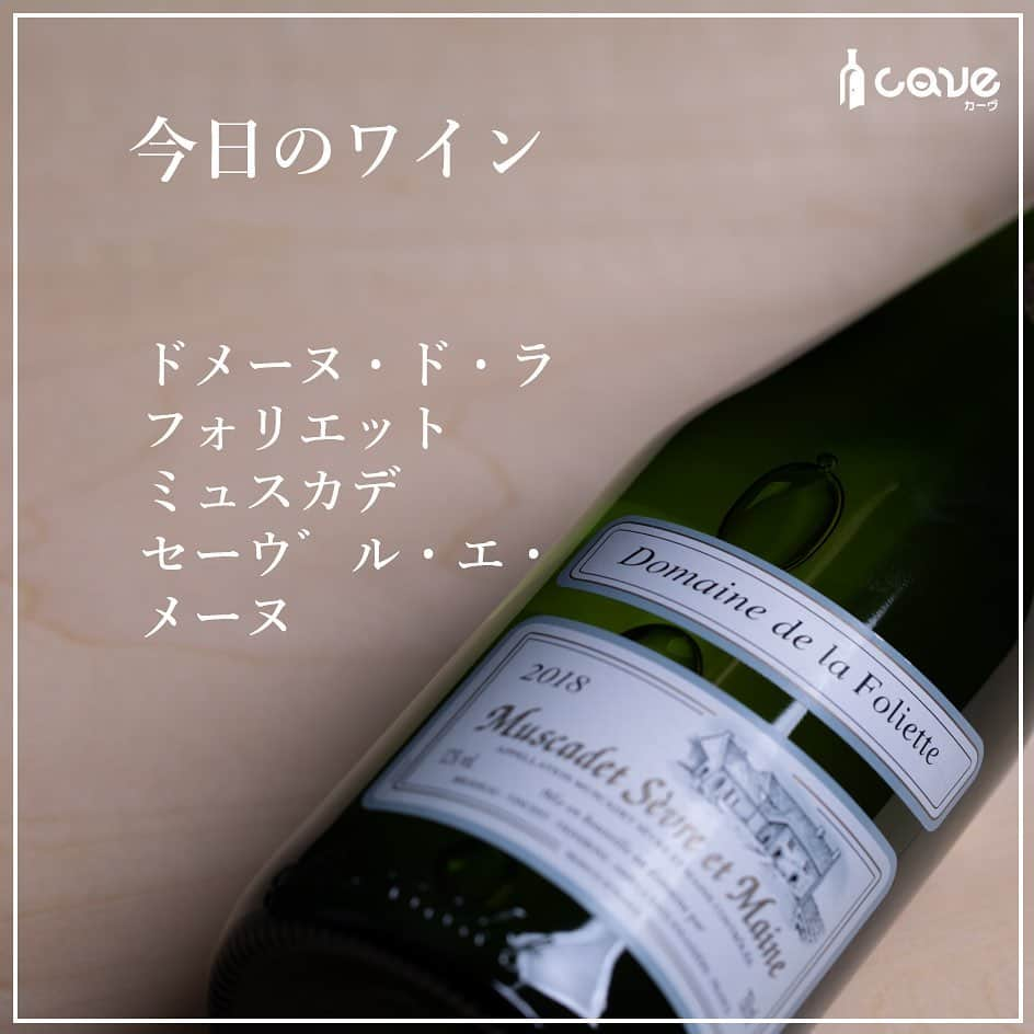 カーヴ 公式アカウントさんのインスタグラム写真 - (カーヴ 公式アカウントInstagram)「・﻿ ﻿ ﻿ ﻿ おはようございます！﻿ ﻿ ﻿ ﻿ 3月22日は「世界水の日」です。﻿ ﻿ ﻿ ﻿ 1992年（平成4年）6月にブラジルのリオデジャネイロで開催された「地球サミット」（環境と開発に関する国連会議）の21世紀へ向けての行動計画「アジェンダ21」で提案されました。﻿ そして、同年12月の国連総会で決定し、翌1993年（平成5年）から実施されています。﻿ ﻿ ﻿ ﻿ 国際デーの一つで、水資源の開発・保全やアジェンダ21の勧告の実施に関して普及啓発を行う日です。﻿ また、水の大切さや、きれいで安全な水を使用できるようにすることの重要性を世界中で考える日であります。﻿ ﻿ ﻿ ﻿ さて、水のように透きとおったワインといえば、フランス・ロワール地方のミュスカデ・セーヴル・エ・メーヌが思い浮かびますが、今回は「ドメーヌ・ド・ラ・フォリエット」をご紹介。﻿ ﻿ ﻿ ﻿ ミュスカデはブドウ品種で、良い意味でコンパクトで果実味が控えめな品種のため、味わいが繊細な和食にも合うことで有名です。﻿ ﻿ ﻿ ﻿ 比較的カジュアルなワインとして扱われる「ミュスカデ」ですが、このドメーヌ・ド・ラ・フォリエットが作るワインは、この価格帯としては、ずば抜けた品質を誇っています。﻿ ﻿ ﻿ ﻿ 緑がかった黄色、程良く熟した柑橘系の香りと爽やかな風味を持ち、まろやかな口当たりとさわやかな余韻が感じられる、魚介類に良く合う辛口ワインです。﻿ ﻿ ﻿ ﻿ ちなみに、「ミュスカデ」は「ミュスカ（マスカット）」や「ミュスカデル」と似ているので混同されがちですが、まったく別のブドウ品種です。﻿ 別名を「ムロン・ド・ブルゴーニュ」といいます。﻿ ﻿ ﻿ ﻿  いかがでしたか？⠀ 投稿がためになったら「いいね！」「保存」、はじめての見る方はフォローしてもらえると嬉しいです！コメントも返しますので感想聞かせてくださいね♪⠀ ⠀ ━━━━━━━━━━━━━━━━━━━━━﻿⠀ ﻿⠀ カーヴ（Cave）公式アカウントでは、﻿⠀ 毎日「今日は〇〇の日」とともに、﻿⠀ それに因んだ世界各国のワインを﻿⠀ ご紹介しています。﻿⠀ ﻿⠀ ぜひ、フォローしてください。﻿⠀ @cavewin﻿⠀ ﻿⠀ －〇－－〇－－〇－－〇－－〇－－〇－﻿⠀ ﻿⠀ 今回ご紹介したワインは「CAVE THE SELECT」﻿⠀ で、ご購入いただけます。﻿⠀ ﻿⠀ プロフィール欄のURLよりお進みいただき、﻿⠀ フリーワード検索をご利用ください。﻿⠀ ﻿⠀ プロフィール﻿⠀ @cavewine﻿⠀ ﻿⠀ －〇－－〇－－〇－－〇－－〇－－〇－﻿⠀ ﻿⠀ ワインに関するご質問・ご相談は﻿⠀ お気軽にDMでご連絡ください。﻿⠀ ﻿⠀ カーヴ編集部のカメラマンであり、﻿⠀ ソムリエ＆チーズプロフェッショナルの﻿⠀ ﻿⠀ 寺田 智伸﻿⠀ ﻿⠀ が丁寧にお答えします。﻿⠀ ﻿⠀ －－保有資格－－﻿⠀ ・ソムリエ﻿⠀ （一社）日本ソムリエ協会認定﻿⠀ ・チーズプロフェッショナル﻿⠀ NPO法人チーズプロフェッショナル認定﻿⠀ ﻿⠀ －〇－－〇－－〇－－〇－－〇－－〇－－〇－﻿⠀ ﻿⠀ カーヴ（Cave）は、ワイン好きが集まり﻿⠀ 情報共有できるワインレビューサイトです﻿⠀ ﻿⠀ ━━━━━━━━━━━━━━━━━━━━━﻿⠀ #今日は何の日ワイン#今日は何の日#日めくり#日めくりワイン#ワイン#雑学#今日の雑学#豆知識#ワインライフ#カーヴワイン#ワインのある暮らし#ワイン好きな人と繋がりたい#おすすめワイン#話のネタ#ワインのおとも#ワインのお供#くらし#暮らし#暮らしを楽しむ#お酒#毎日#毎日投稿#毎日ワイン#cavewine#wine#winelover#winelovers#winelife#wines#winetime﻿⠀ ━━━━━━━━━━━━━━━━━━━━━」3月22日 10時03分 - cavewine