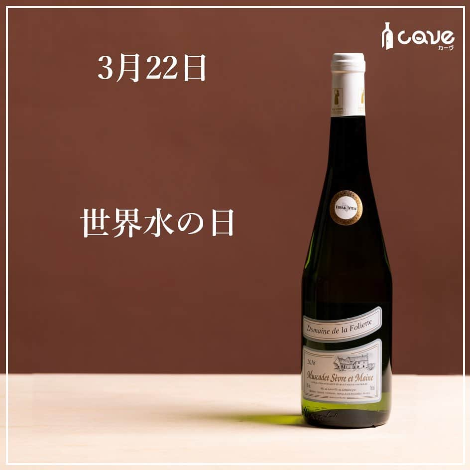 カーヴ 公式アカウントのインスタグラム：「・﻿ ﻿ ﻿ ﻿ おはようございます！﻿ ﻿ ﻿ ﻿ 3月22日は「世界水の日」です。﻿ ﻿ ﻿ ﻿ 1992年（平成4年）6月にブラジルのリオデジャネイロで開催された「地球サミット」（環境と開発に関する国連会議）の21世紀へ向けての行動計画「アジェンダ21」で提案されました。﻿ そして、同年12月の国連総会で決定し、翌1993年（平成5年）から実施されています。﻿ ﻿ ﻿ ﻿ 国際デーの一つで、水資源の開発・保全やアジェンダ21の勧告の実施に関して普及啓発を行う日です。﻿ また、水の大切さや、きれいで安全な水を使用できるようにすることの重要性を世界中で考える日であります。﻿ ﻿ ﻿ ﻿ さて、水のように透きとおったワインといえば、フランス・ロワール地方のミュスカデ・セーヴル・エ・メーヌが思い浮かびますが、今回は「ドメーヌ・ド・ラ・フォリエット」をご紹介。﻿ ﻿ ﻿ ﻿ ミュスカデはブドウ品種で、良い意味でコンパクトで果実味が控えめな品種のため、味わいが繊細な和食にも合うことで有名です。﻿ ﻿ ﻿ ﻿ 比較的カジュアルなワインとして扱われる「ミュスカデ」ですが、このドメーヌ・ド・ラ・フォリエットが作るワインは、この価格帯としては、ずば抜けた品質を誇っています。﻿ ﻿ ﻿ ﻿ 緑がかった黄色、程良く熟した柑橘系の香りと爽やかな風味を持ち、まろやかな口当たりとさわやかな余韻が感じられる、魚介類に良く合う辛口ワインです。﻿ ﻿ ﻿ ﻿ ちなみに、「ミュスカデ」は「ミュスカ（マスカット）」や「ミュスカデル」と似ているので混同されがちですが、まったく別のブドウ品種です。﻿ 別名を「ムロン・ド・ブルゴーニュ」といいます。﻿ ﻿ ﻿ ﻿  いかがでしたか？⠀ 投稿がためになったら「いいね！」「保存」、はじめての見る方はフォローしてもらえると嬉しいです！コメントも返しますので感想聞かせてくださいね♪⠀ ⠀ ━━━━━━━━━━━━━━━━━━━━━﻿⠀ ﻿⠀ カーヴ（Cave）公式アカウントでは、﻿⠀ 毎日「今日は〇〇の日」とともに、﻿⠀ それに因んだ世界各国のワインを﻿⠀ ご紹介しています。﻿⠀ ﻿⠀ ぜひ、フォローしてください。﻿⠀ @cavewin﻿⠀ ﻿⠀ －〇－－〇－－〇－－〇－－〇－－〇－﻿⠀ ﻿⠀ 今回ご紹介したワインは「CAVE THE SELECT」﻿⠀ で、ご購入いただけます。﻿⠀ ﻿⠀ プロフィール欄のURLよりお進みいただき、﻿⠀ フリーワード検索をご利用ください。﻿⠀ ﻿⠀ プロフィール﻿⠀ @cavewine﻿⠀ ﻿⠀ －〇－－〇－－〇－－〇－－〇－－〇－﻿⠀ ﻿⠀ ワインに関するご質問・ご相談は﻿⠀ お気軽にDMでご連絡ください。﻿⠀ ﻿⠀ カーヴ編集部のカメラマンであり、﻿⠀ ソムリエ＆チーズプロフェッショナルの﻿⠀ ﻿⠀ 寺田 智伸﻿⠀ ﻿⠀ が丁寧にお答えします。﻿⠀ ﻿⠀ －－保有資格－－﻿⠀ ・ソムリエ﻿⠀ （一社）日本ソムリエ協会認定﻿⠀ ・チーズプロフェッショナル﻿⠀ NPO法人チーズプロフェッショナル認定﻿⠀ ﻿⠀ －〇－－〇－－〇－－〇－－〇－－〇－－〇－﻿⠀ ﻿⠀ カーヴ（Cave）は、ワイン好きが集まり﻿⠀ 情報共有できるワインレビューサイトです﻿⠀ ﻿⠀ ━━━━━━━━━━━━━━━━━━━━━﻿⠀ #今日は何の日ワイン#今日は何の日#日めくり#日めくりワイン#ワイン#雑学#今日の雑学#豆知識#ワインライフ#カーヴワイン#ワインのある暮らし#ワイン好きな人と繋がりたい#おすすめワイン#話のネタ#ワインのおとも#ワインのお供#くらし#暮らし#暮らしを楽しむ#お酒#毎日#毎日投稿#毎日ワイン#cavewine#wine#winelover#winelovers#winelife#wines#winetime﻿⠀ ━━━━━━━━━━━━━━━━━━━━━」