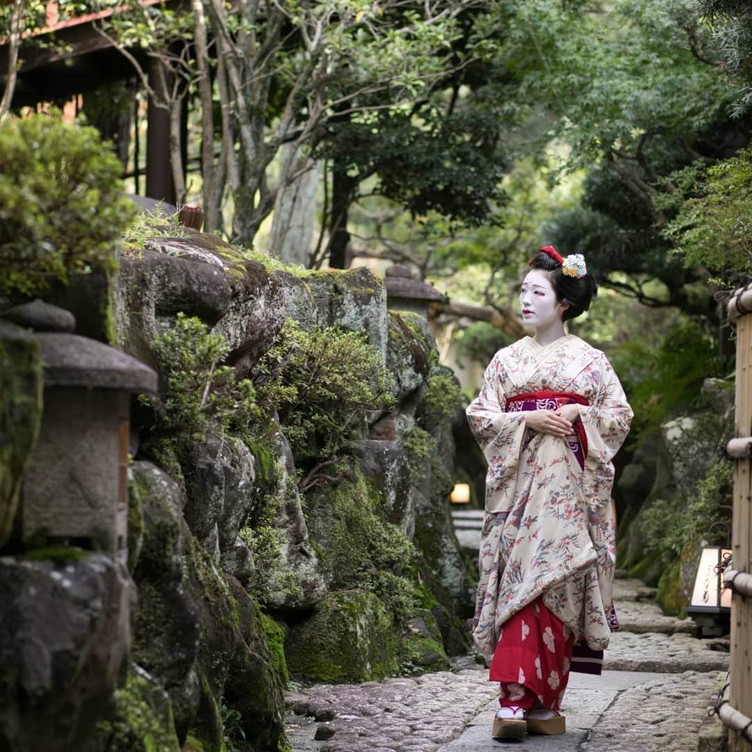 菊水楼公式アカウントのインスタグラム：「Maiko in Nara // KIKUSUIRO Maiko, not only in Kyoto, but there are in Nara, too. ＊ 舞妓 // 料亭菊水楼 京都だけではありません。奈良の舞妓は菊水の紋を着物に入れ、「菊」を名前に一字付けて活躍しています。 ＊  @osaka_laviephotography @the_kikusuiro_narapark #japan #nara #kikusuiro #narapark #naradeerpark #trip #travel #narajapan #お顔合わせ #奈良 #ならまち #菊水楼 #奈良グルメ #庭 #舞妓 #舞子 #芸者 #着物」