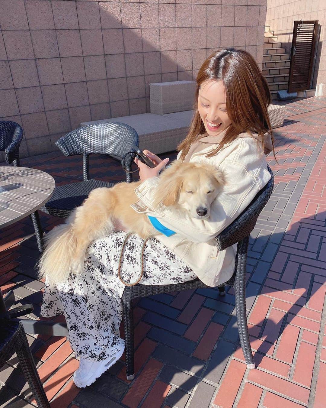 野田彩加さんのインスタグラム写真 - (野田彩加Instagram)「僕🐶とひなたぼっこ☺️❤️ なんでそんなに可愛いの？🥺❤️❤️❤️🐶 #にょろ　#お昼寝　#ひなたぼっこ #dog #可愛い　#🐶」3月22日 10時21分 - aya.205
