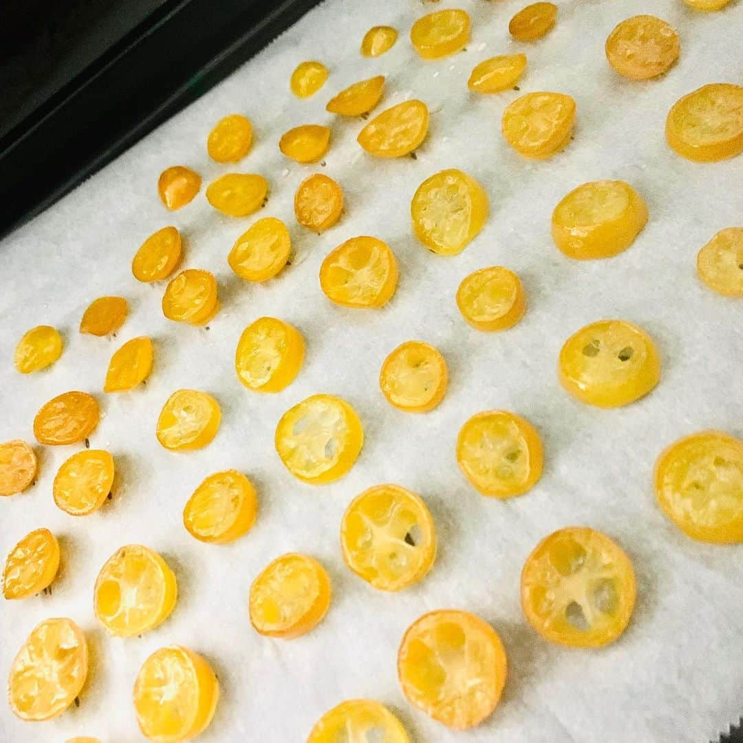 キャプテン★ザコさんのインスタグラム写真 - (キャプテン★ザコInstagram)「庭の金柑を収穫🍊 砂糖で炊いてピールをこさえましたよ🤲 ベーコン🥓作ったりもそうだけど、料理と言うより食材を作るのが好きなんよ。. . #金柑 #栽培 #料理 #料理男子 #ピール #きんかん #家庭菜園 #家庭菜園初心者  #」3月22日 10時26分 - captainzako