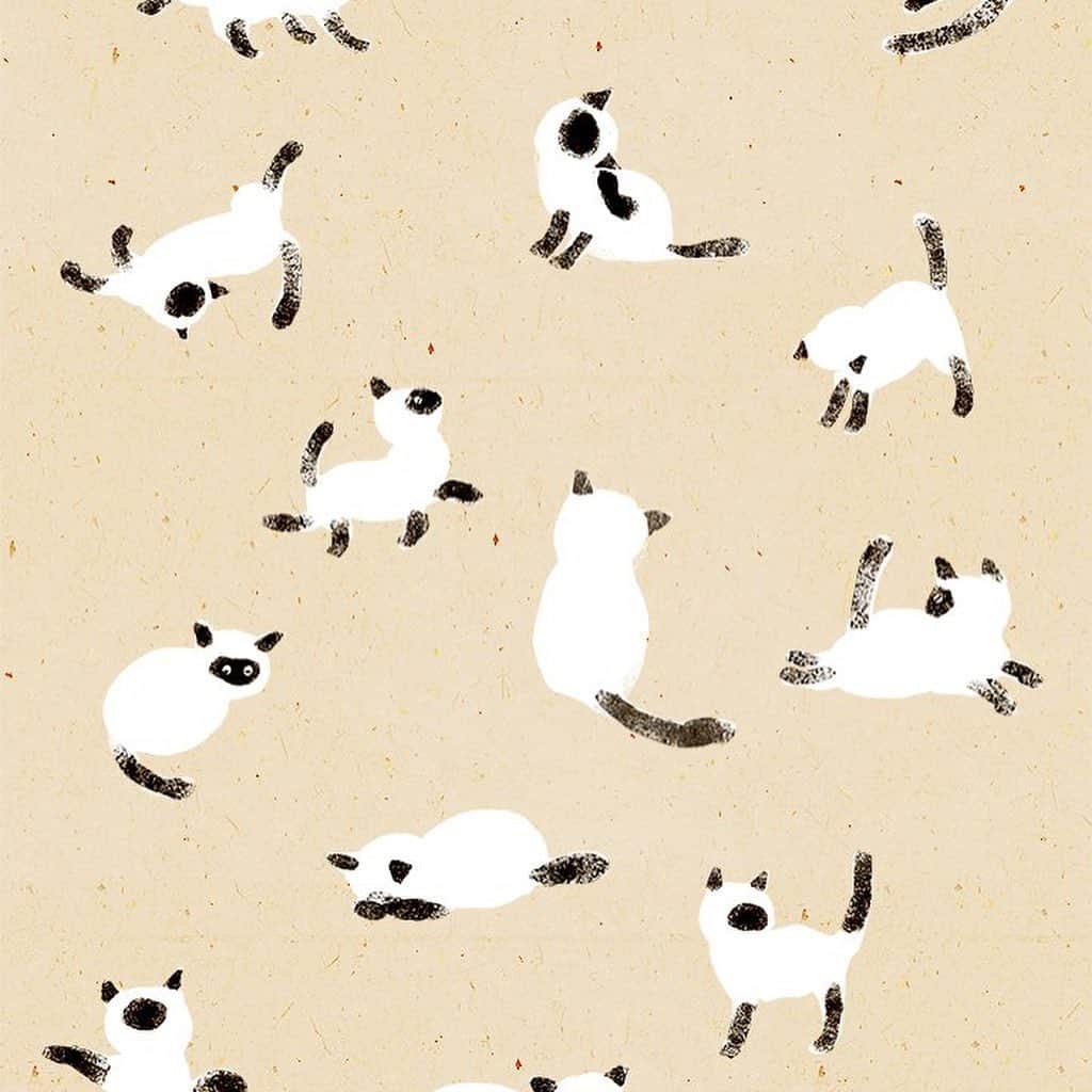 momoroさんのインスタグラム写真 - (momoroInstagram)「#猫#cat #illustration #momoro#ももろ」3月22日 10時40分 - momoro6666