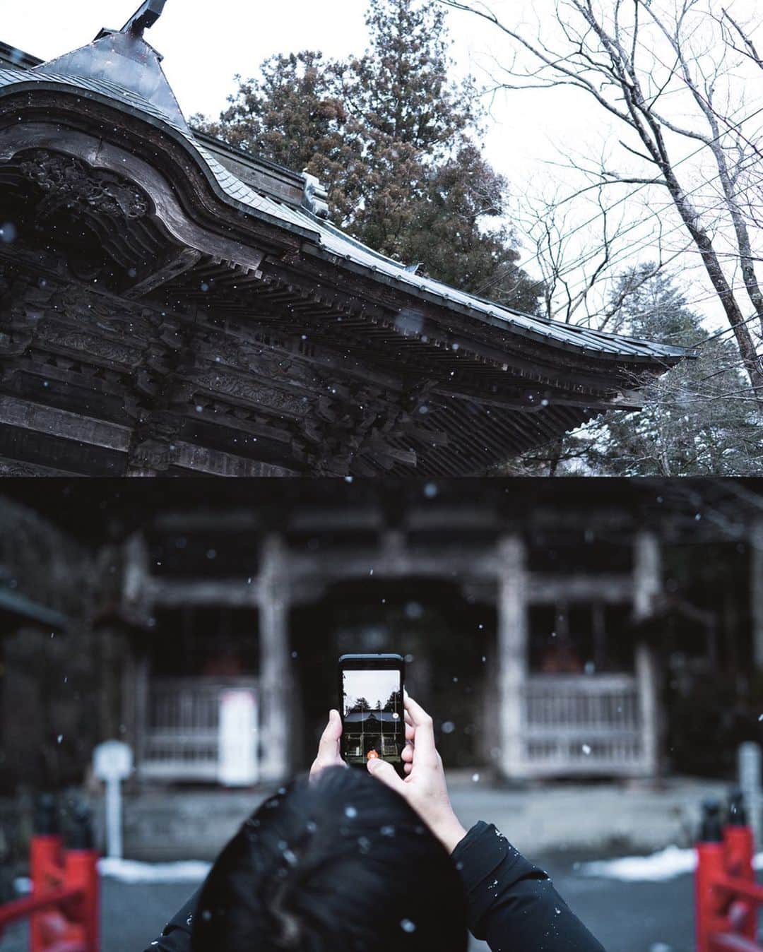 市川渚さんのインスタグラム写真 - (市川渚Instagram)「Haruna Shirine, Gunma⛩﻿ ﻿ ﻿ 先週末、いつもスノーシーズンにお世話になりまくる平出夫妻 @qpanzu @qpshuji に連れて行ってもらった、雪の榛名神社。苔に雪が積もってるの、初めてみた気がする。 ﻿ ﻿ しかし先週は凍るかとおもうくらい寒かったのに、今日は半袖でも大丈夫なくらい、春ですね🌸﻿ ﻿ ﻿ #榛名神社#harunashirine#a7iii#sonya#sonyalpha#zeisslens#zeissbatis#batis40mm#ツァイス写真部」3月22日 10時52分 - nagiko