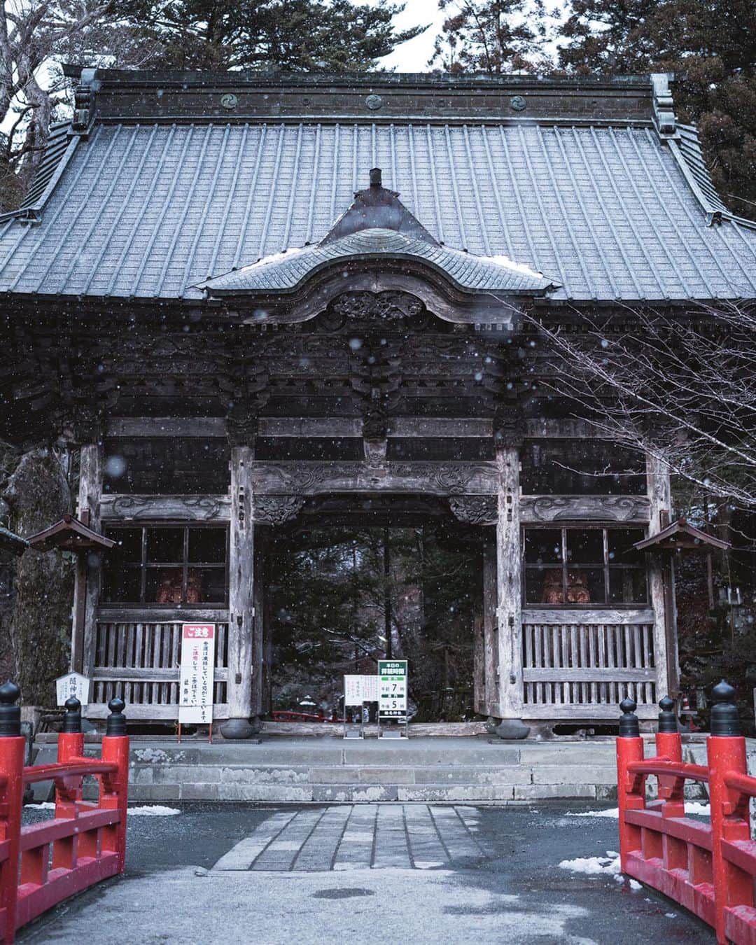 市川渚のインスタグラム