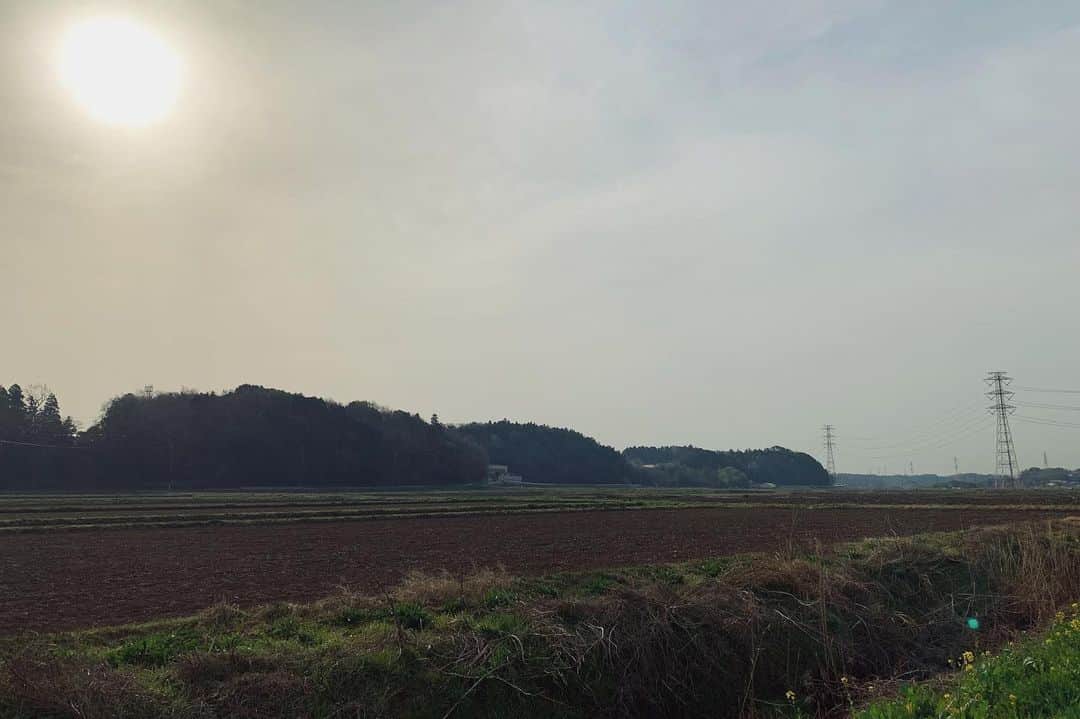 京田知己のインスタグラム：「煮詰まったので走ってきた。」