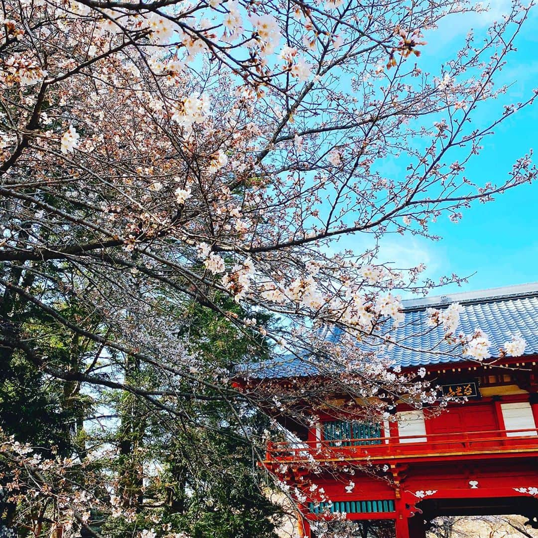 坂東亀三郎のインスタグラム