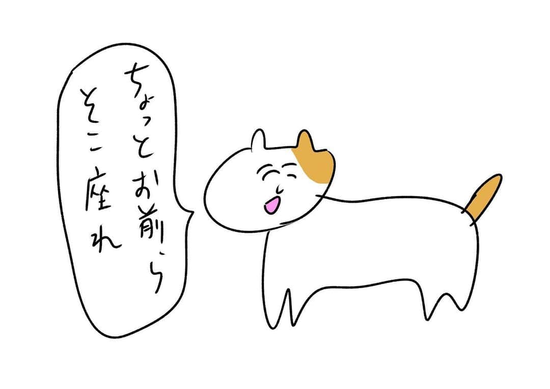 おほしんたろうのインスタグラム：「このあとめちゃくちゃキレる . . . . . #おほまんが#マンガ#漫画#インスタ漫画#イラスト#イラストレーター#イラストレーション#猫#ネコ」