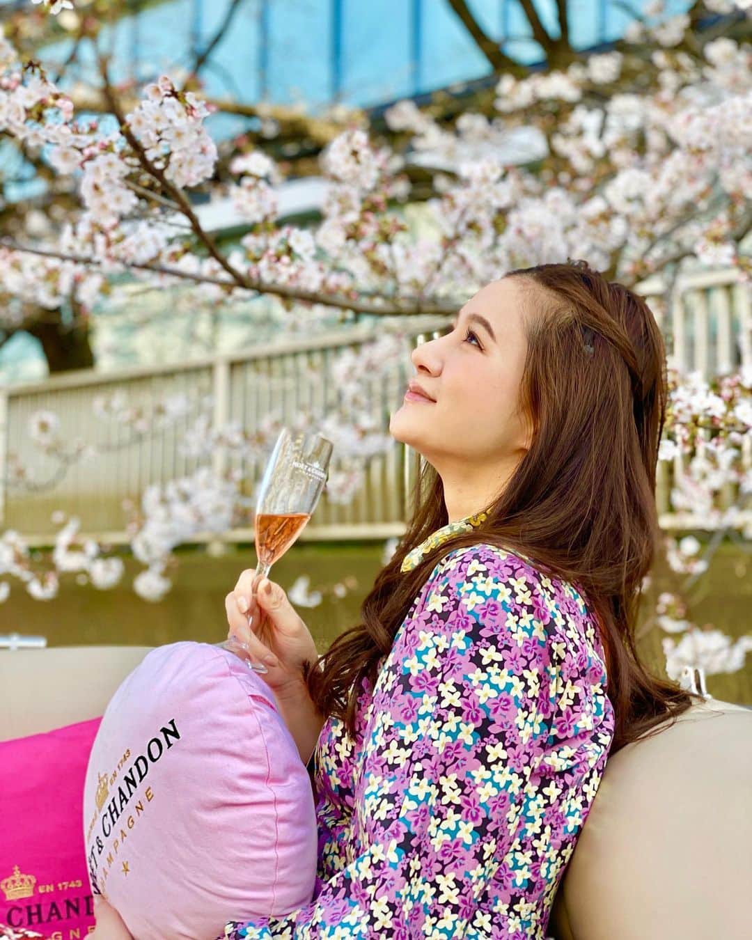 平山美春さんのインスタグラム写真 - (平山美春Instagram)「Cherry blossoms are blooming🌸 . 昨日はお天気が良かったのでお花見クルーズへ🌸まだツボミが多かったけど、綺麗に咲いてる場所も✨ 地上から見る桜も綺麗だけど、川から見る桜や東京の下町も、また違う魅力があって素敵🌸☺️✨ エドベンチャー @edoventure_cruise さんにお願いしました💕 . 水の近くに枝が垂れて咲いてるところも多かったので、なぜだろう？と思っていたら、水面の光が反射して暖かくなり咲くのだそう☺️✨ . #cherryblossom #bloom  #spring #springiscoming #tokyo  #moet #moetchandon #cruise  #moetchampagne #rose  #エドベンチャー #花見 #お花見  #桜 #花見クルーズ #クルーズ  #春」3月22日 12時09分 - miharuhirayama