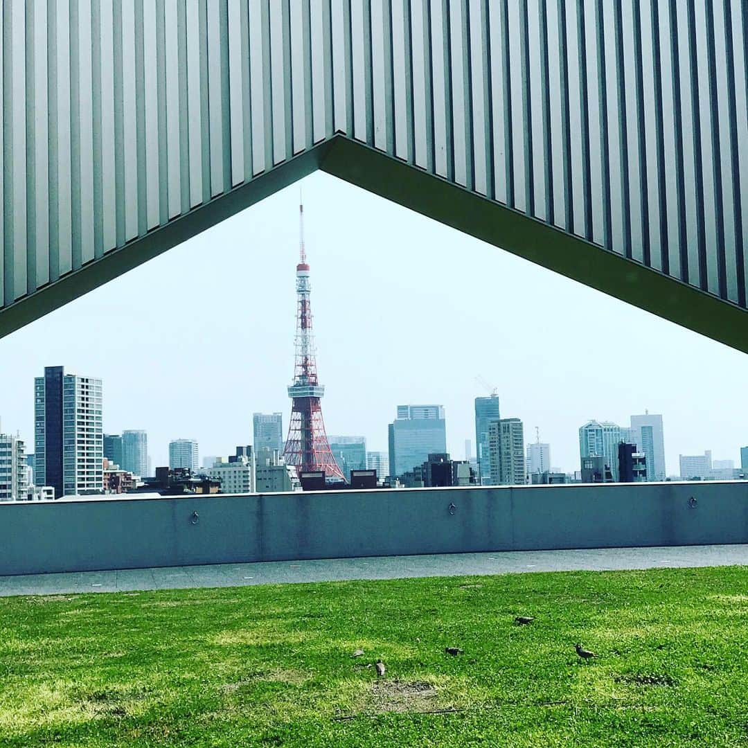 佐野史郎さんのインスタグラム写真 - (佐野史郎Instagram)「六本木のビルから東京タワー🗼」3月22日 12時24分 - sanovabitch