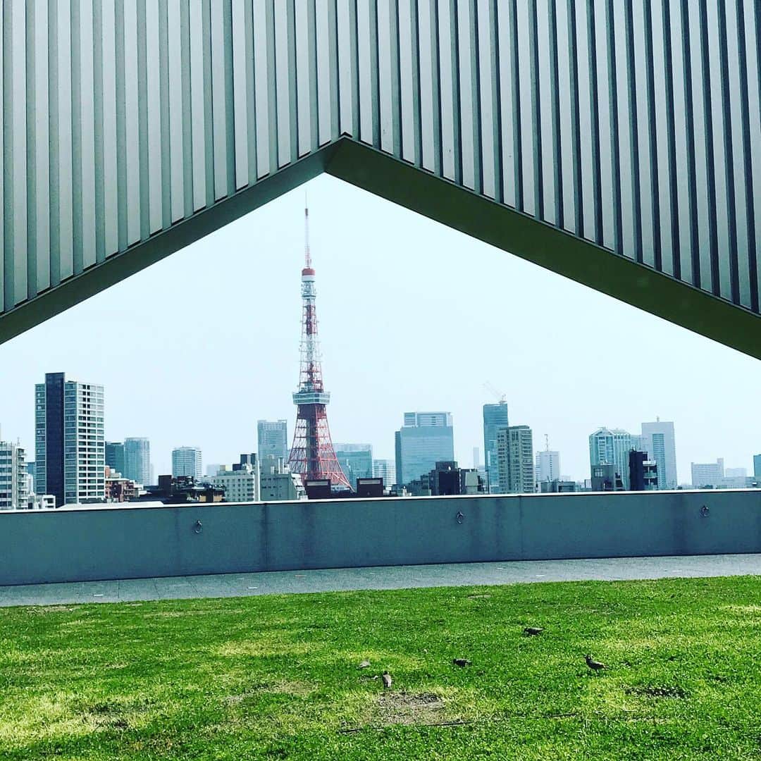 佐野史郎のインスタグラム：「六本木のビルから東京タワー🗼」