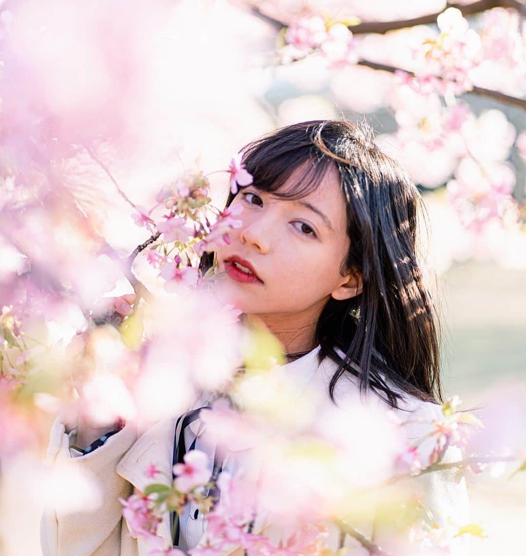 櫻間りえさんのインスタグラム写真 - (櫻間りえInstagram)「私の鼻先の花粉探知機が作動した」3月22日 12時22分 - _moonciel