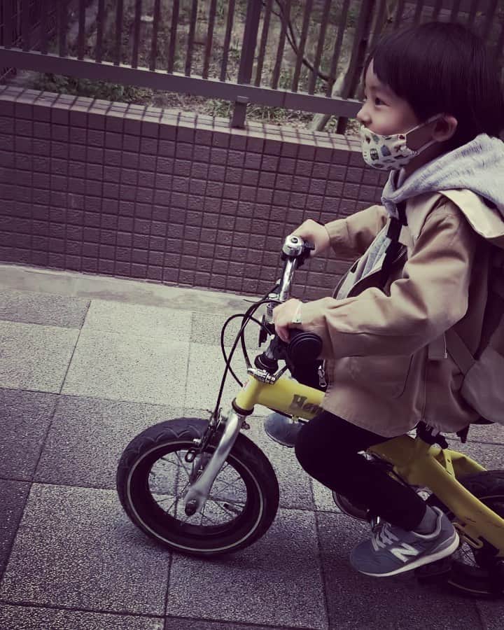 SHOGのインスタグラム：「自転車乗れた☺︎ ついこないだペダル つけたばっかりなのに。 「パパ背中ずっともってて〜」 ってさっきまで言ってたのに あっという間に前に進んでる。 嬉しいけどちょっと寂しいな☺︎ * #たれまゆちゃん #男の子#息子#4歳#7月生まれ #へんしんバイク」