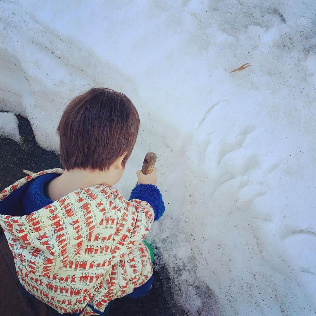 加藤千恵のインスタグラム：「桜の写真がTLに増えていく季節に、つなぎを着て、まだ残る雪で遊ぶ姿（ひたすらスコップで跡をつけているだけ）。」