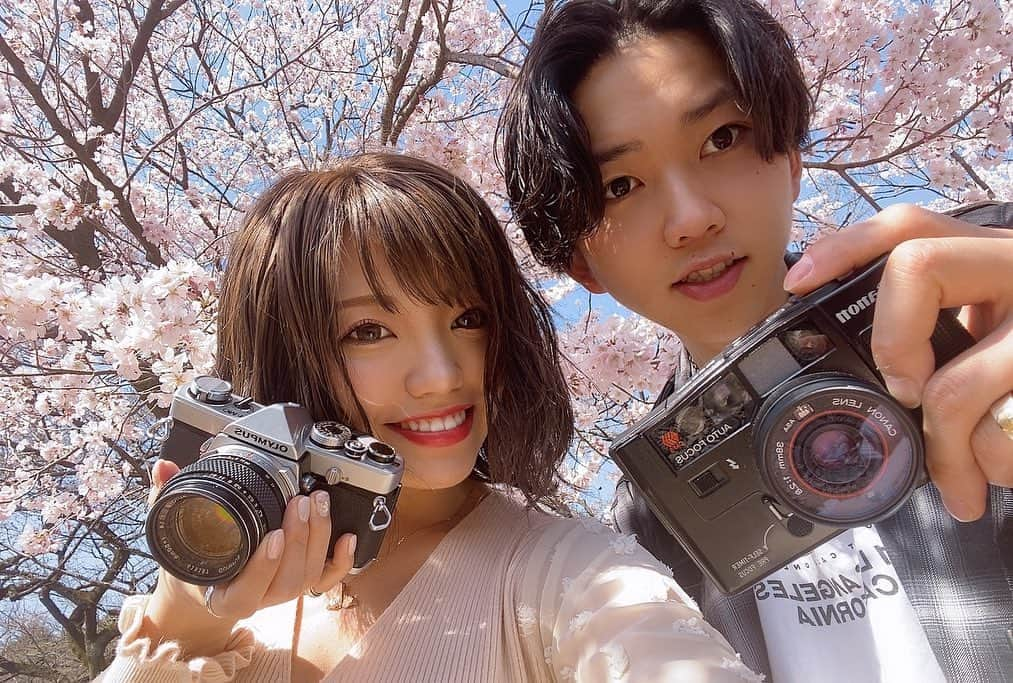 みきでりさんのインスタグラム写真 - (みきでりInstagram)「2人でフィルムカメラ持ってお散歩📸🎞🌸 ㅤ ㅤ 幸せなひと時でした〜〜🥰 ㅤ ㅤ 同じ趣味があるって嬉しいね✨ もちろん、違った趣味があることも 大切なことだけど！笑 ㅤ ㅤ ㅤ ㅤ 最近何気によく写真撮ってるから そろそろカメラアカウントの方も 更新していかないと！！！笑 ㅤ ㅤ ㅤ ㅤ ㅤ ㅤ ㅤ ㅤ ㅤ ㅤ #桜#桜満開#ジャノメエリカ#新宿御苑#フィルム#フィルムカメラ#フィルムカメラに恋してる#フィルムに恋してる #ショート #ショートカット #フイルム#花のある暮らし#春#デート#カメラ女子 #ポートレート #ポートレート女子#お花 #お花見 #フイルム写真 #満開#olympusom1 #film #filmcamera #shinjuku #portrait #autoboy #iso400 #fujifilm #cherryblossom」3月22日 13時44分 - mikidelicious