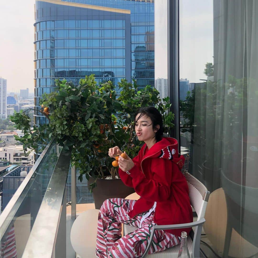 のインスタグラム：「Would you like some orange juice ?🍊🌱」