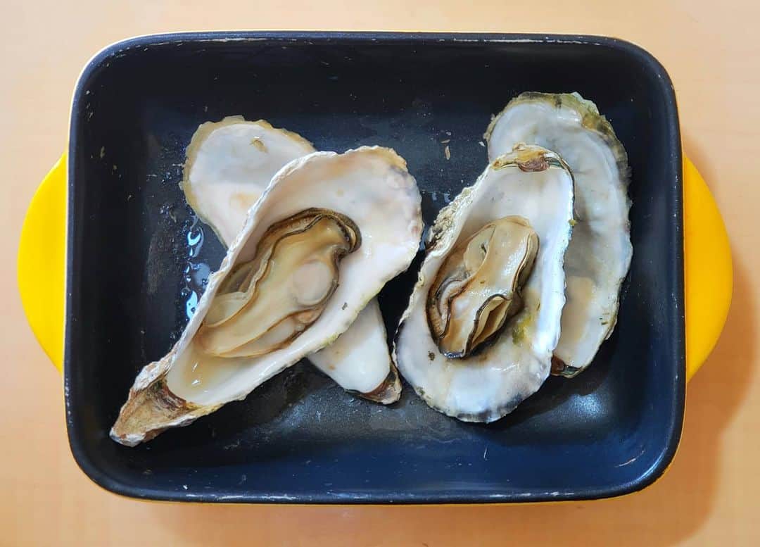 布川敏和さんのインスタグラム写真 - (布川敏和Instagram)「〝本日のマミツー〟 蒸し牡蠣で, ルービー🍺ヽ(๑´ڡ`๑)」3月22日 14時54分 - fukawatoshikazu