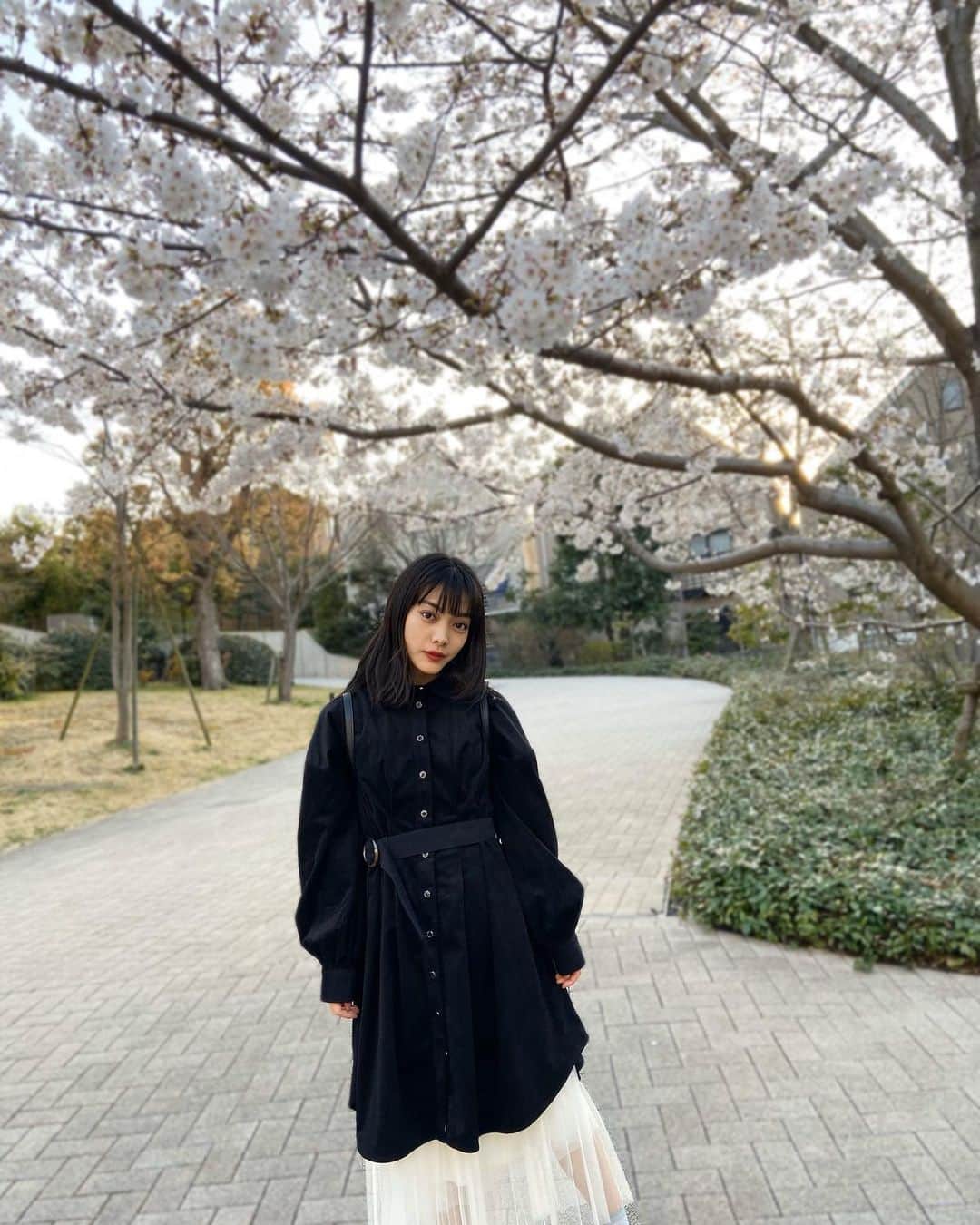 MIOさんのインスタグラム写真 - (MIOInstagram)「. 代官山あたりを歩いてたら🌸 . #代官山#代官山散策#ポートレート#portrait#daikanyama」3月22日 15時00分 - mio_abp