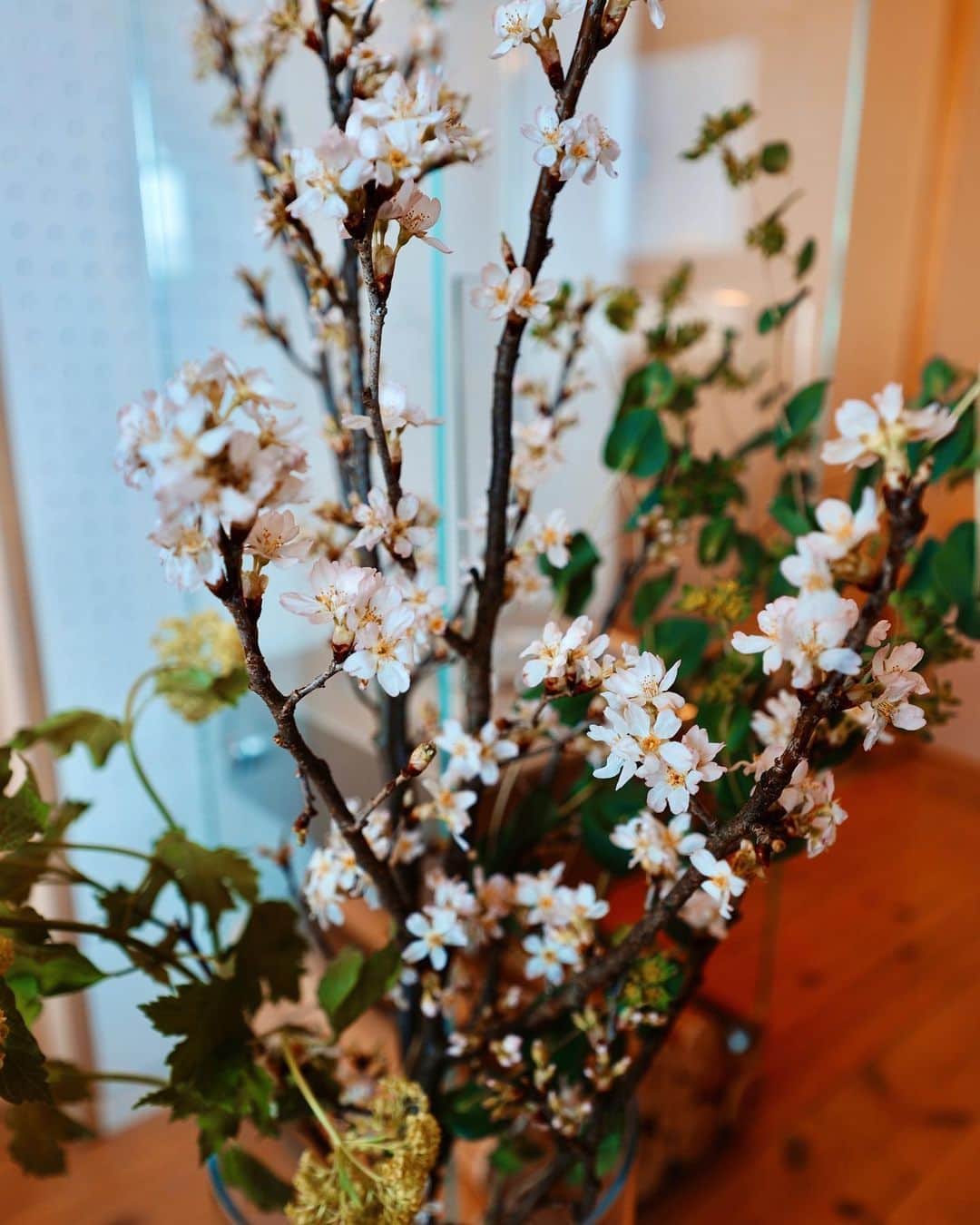 吉田拓巳のインスタグラム：「我が家に桜が到着！ 5年間眠っていた花瓶がやっと使えました 笑」