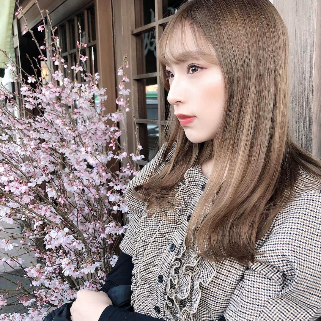 のインスタグラム：「・ もう桜咲いてた🌸 ・ #spring #cherryblossom #桜 #春」