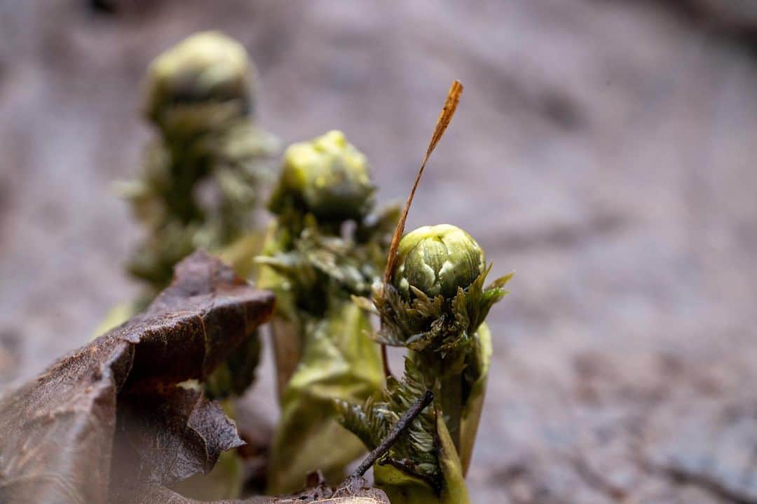 山人のグルメインスタ